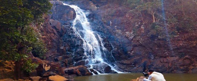 Essence of Vietnam South to North